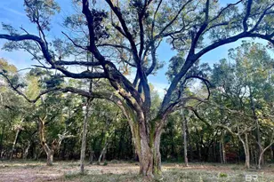 0 Bay Rd, Foley, AL 36535 - Photo 1