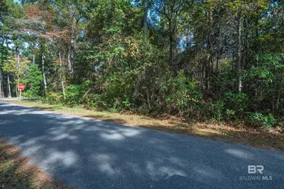 0 Gladiola Lane, Foley, AL 36535 - Photo 7