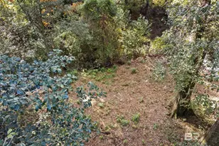 752 Evergreen St, Fairhope, AL 36532 - Photo 53