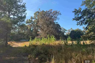 16600 Stacey Rd, Bay Minette, AL 36507 - Photo 1