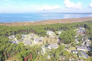 13 Natures Trail, Gulf Shores, AL 36542 - Photo 45