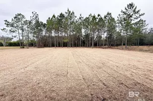 11072 Tall Timber Ln, Elberta, AL 36530 - Photo 31