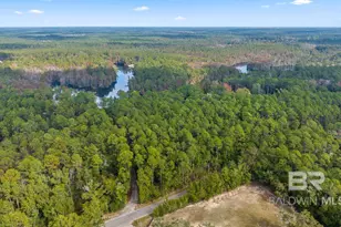 33577 Browns Landing Rd Ext, Seminole, AL 36574 - Photo 5