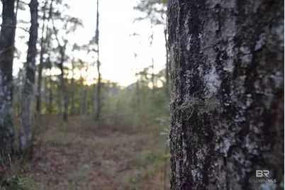 8 Marlin Street, Stockton, AL 36579 - Photo 11