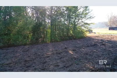 Lot 1 Freemanville Drive, Atmore, AL 36502 - Photo 13