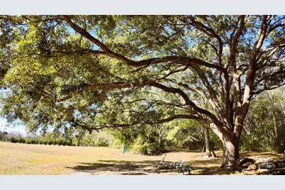 18367 Driskell Road, Loxley, AL 36551 - Photo 15