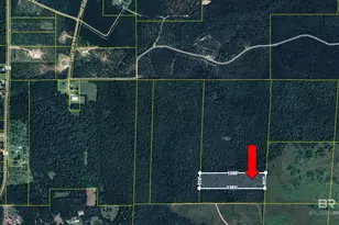 0 Seed Orchard Rd, Robertsdale, AL 36567 - Photo 1