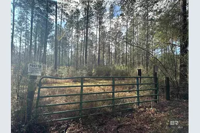 0 Patterson Road, Robertsdale, AL 36567 - Photo 11