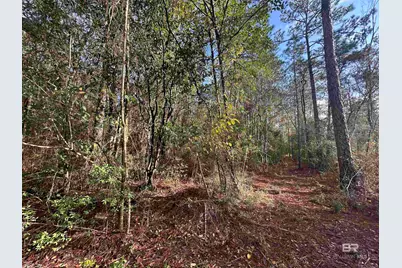 0 Patterson Road, Robertsdale, AL 36567 - Photo 9