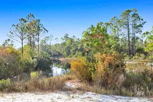 2761 Salt Dr, Orange Beach, AL 36561 - Photo 11