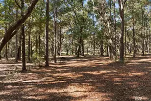 12800 Oak Tree Dr, Foley, AL 36535 - Photo 69