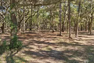 12800 Oak Tree Dr, Foley, AL 36535 - Photo 67