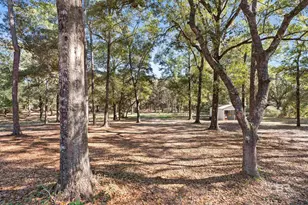 12800 Oak Tree Dr, Foley, AL 36535 - Photo 61