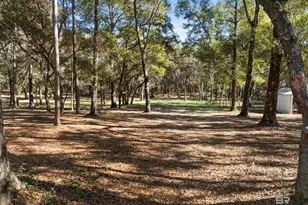 12800 Oak Tree Dr, Foley, AL 36535 - Photo 63