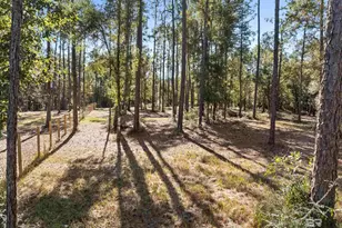 12800 Oak Tree Dr, Foley, AL 36535 - Photo 71