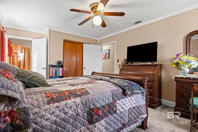 8970 Grand Bay-Wilmer Road, Grand Bay, AL 36541 - Photo 9
