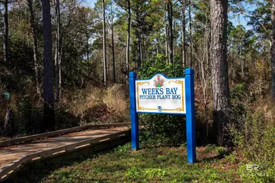 14335 Riverside Drive, Foley, AL 36535 - Photo 59