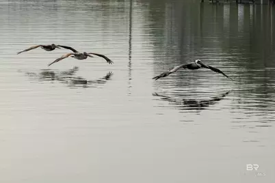 14335 Riverside Drive, Foley, AL 36535 - Photo 61