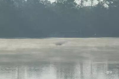 14335 Riverside Drive, Foley, AL 36535 - Photo 63