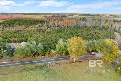 0 S County Road 48, Robertsdale, AL 36567 - Photo 7