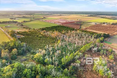 0 S County Road 48, Robertsdale, AL 36567 - Photo 11