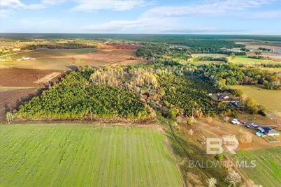 0 S County Road 48, Robertsdale, AL 36567 - Photo 13