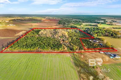 0 S County Road 48, Robertsdale, AL 36567 - Photo 3