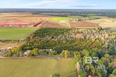 0 S County Road 48, Robertsdale, AL 36567 - Photo 9