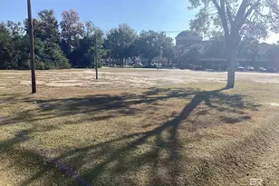 0 D'Olive St, Bay Minette, AL 36507 - Photo 5