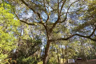 1109 Caroline Ave, Daphne, AL 36526 - Photo 7