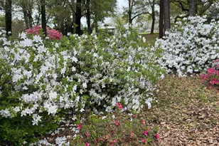 15767A Co Rd 32, Summerdale, AL 36580 - Photo 59