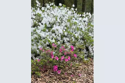 15767-A County Road 32, Summerdale, AL 36580 - Photo 57