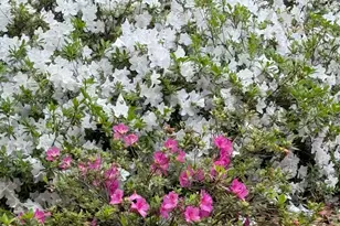 15767A Co Rd 32, Summerdale, AL 36580 - Photo 57