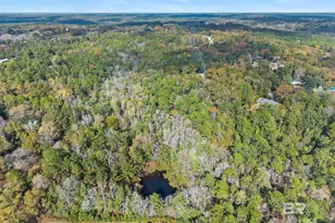 39050 Co Rd 39, Bay Minette, AL 36507 - Photo 39