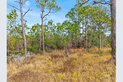 796 Cabana Beach Road, Gulf Shores, AL 36542 - Photo 17