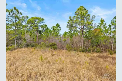 796 Cabana Beach Road, Gulf Shores, AL 36542 - Photo 15
