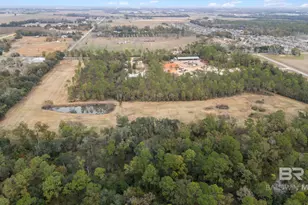 Xxx Airport Rd, Foley, AL 36535 - Photo 7