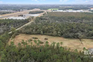 Xxx Airport Rd, Foley, AL 36535 - Photo 3