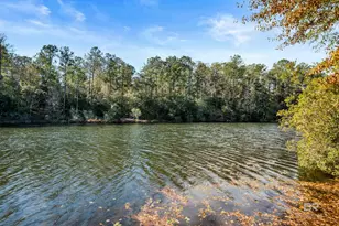 7864 Lake Blvd, Spanish Fort, AL 36527 - Photo 51