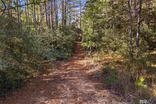 7864 Lake Blvd, Spanish Fort, AL 36527 - Photo 63