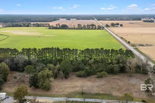 15372 S County Road 28, Foley, AL 36535 - Photo 11