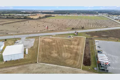 Xxx State Highway 59, Summerdale, AL 36567 - Photo 3