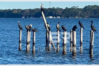 12598 6th Street, Lillian, AL 36549 - Photo 13