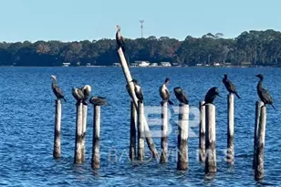 000 6th St, Lillian, AL 36549 - Photo 13