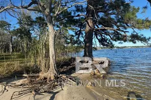 12698 6th St, Lillian, AL 36549 - Photo 15