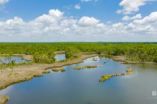 30921 Howes Ln, Perdido Beach, AL 36530 - Photo 23