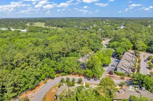 389 Clubhouse Dr, Gulf Shores, AL 36542 - Photo 59