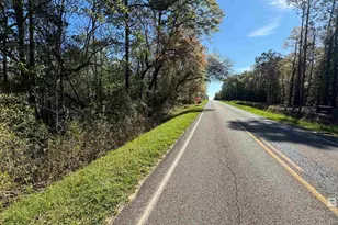 24601 Patterson Rd, Robertsdale, AL 36567 - Photo 23