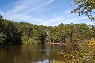 35853 Cramblitt Ln, Bay Minette, AL 36507 - Photo 35