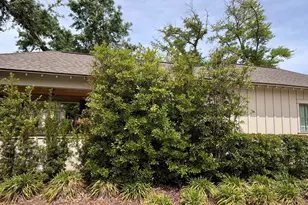 22247 Lot 19 Fairhope Motorcoach Loop, Fairhope, AL 36532 - Photo 5